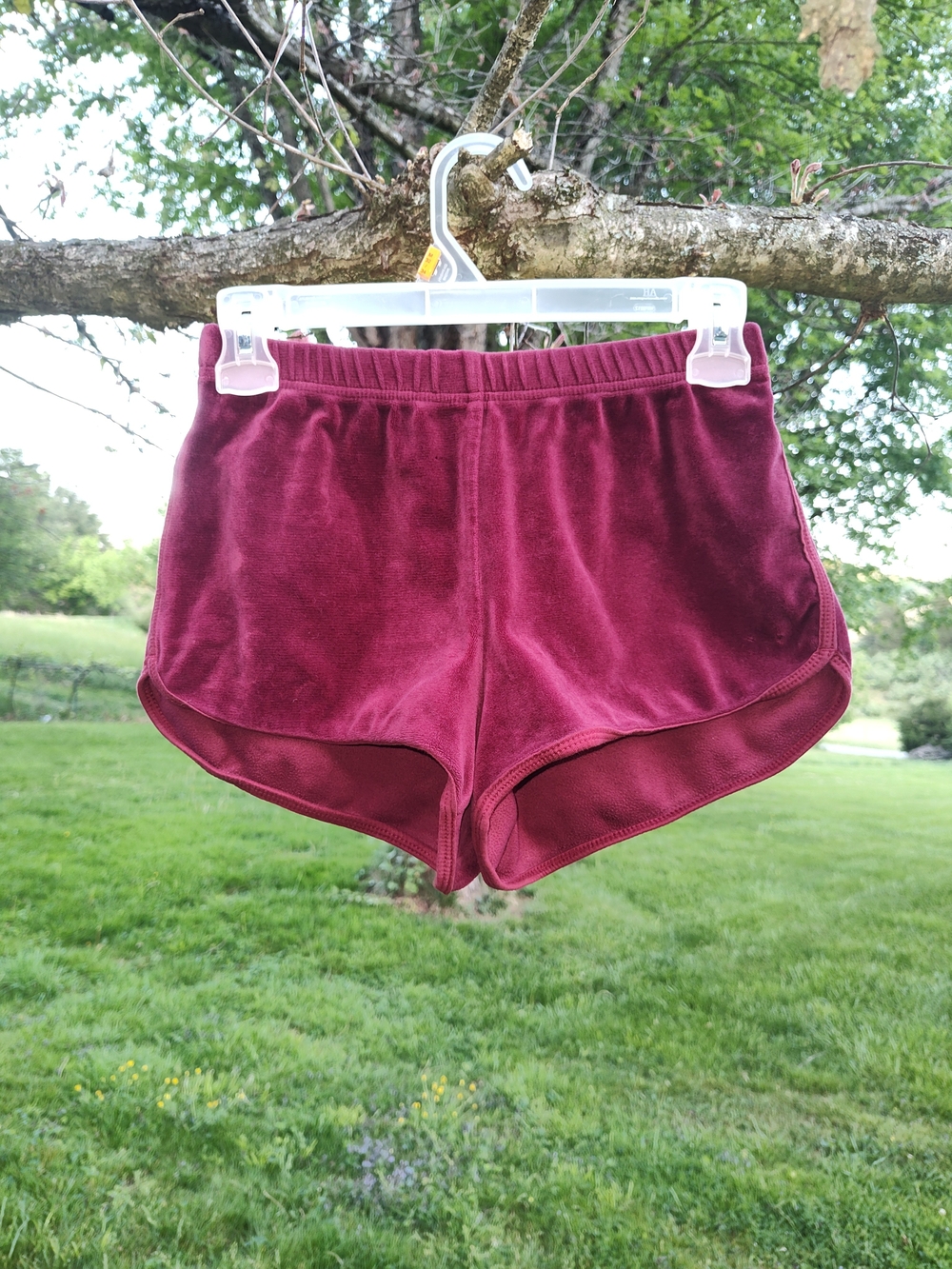 Hollister Burgundy Velvet Athletic Shorts